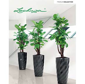 Lechuza premium planters distributed by Bob's Tropicals Inc.